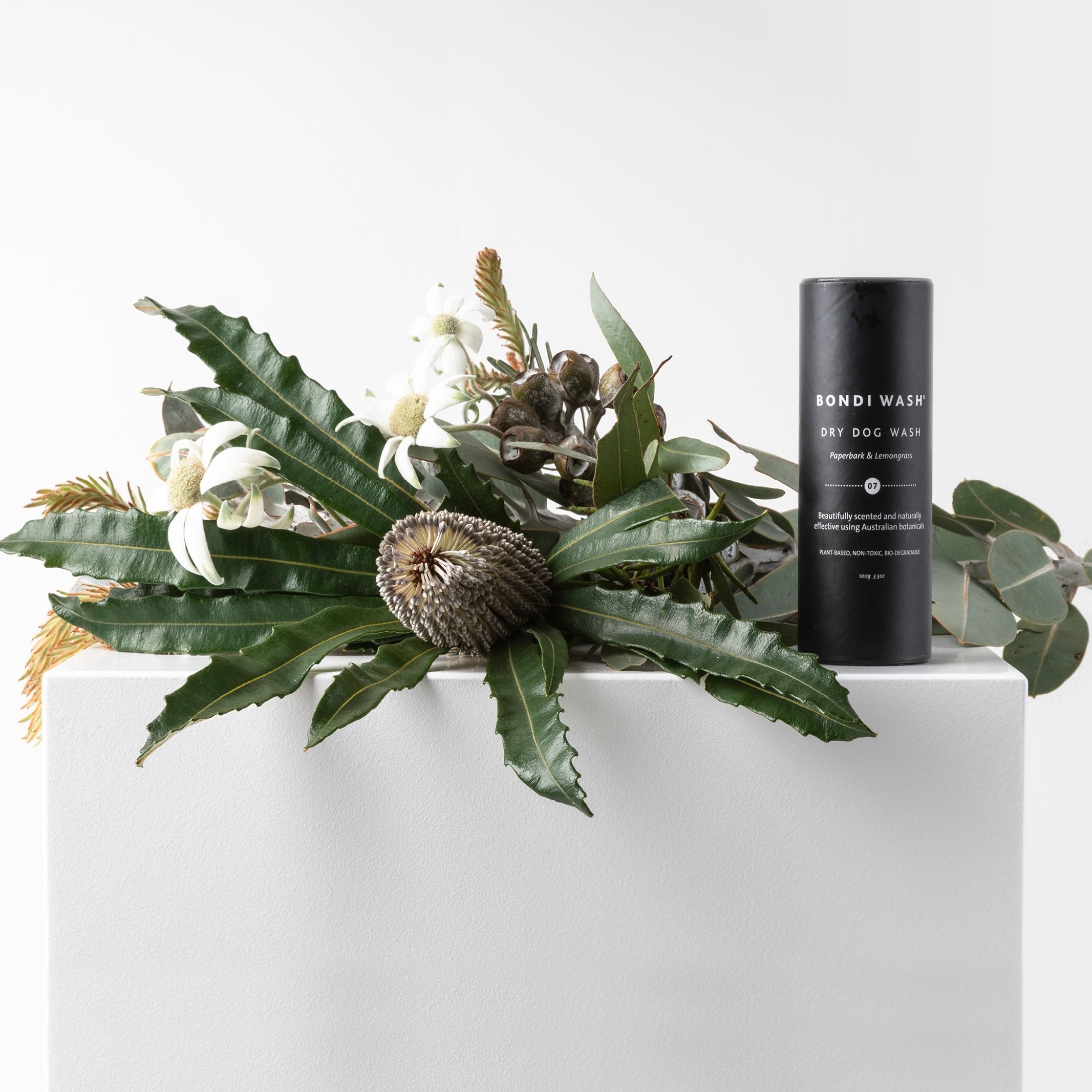 Bondi Wash Dry Dog Wash