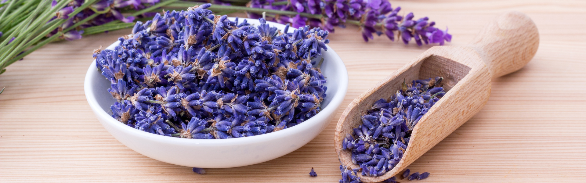 Dried lavender flowers in a white bowl and wooden scoop on a wooden surface