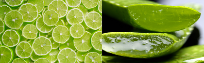Top left: Sliced limes, bottom right: Sliced aloe vera with gel.