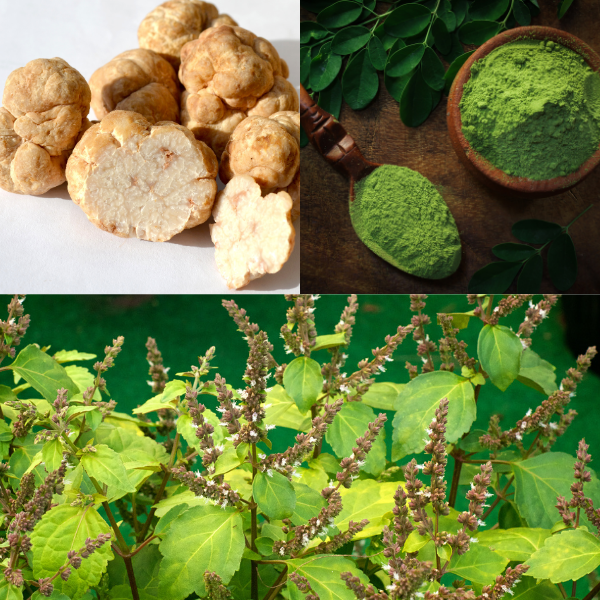 Collage of images showing dried roots, green powder, and a plant with green leaves.