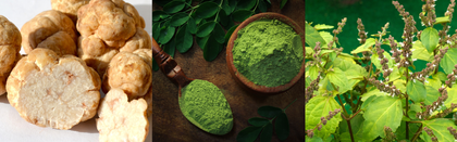 Three images showing truffles, green powder in a bowl, and a plant with green leaves.