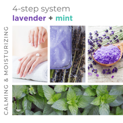 BCL SPA Calming Lavender + Mint 4 Step System